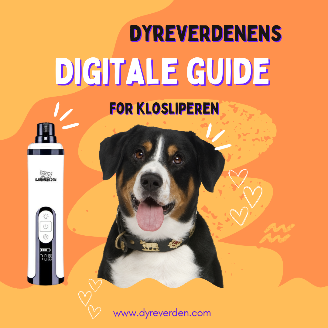 E-guide: Klosliperen
